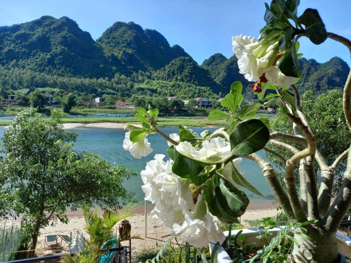 Areca Bungalow Phong Nha Eksteriør bilde