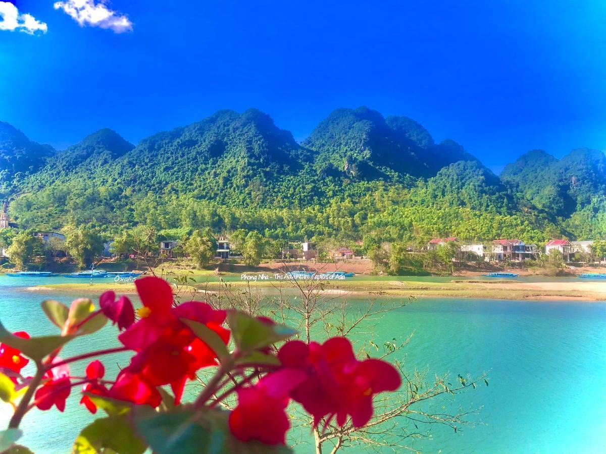 Areca Bungalow Phong Nha Eksteriør bilde