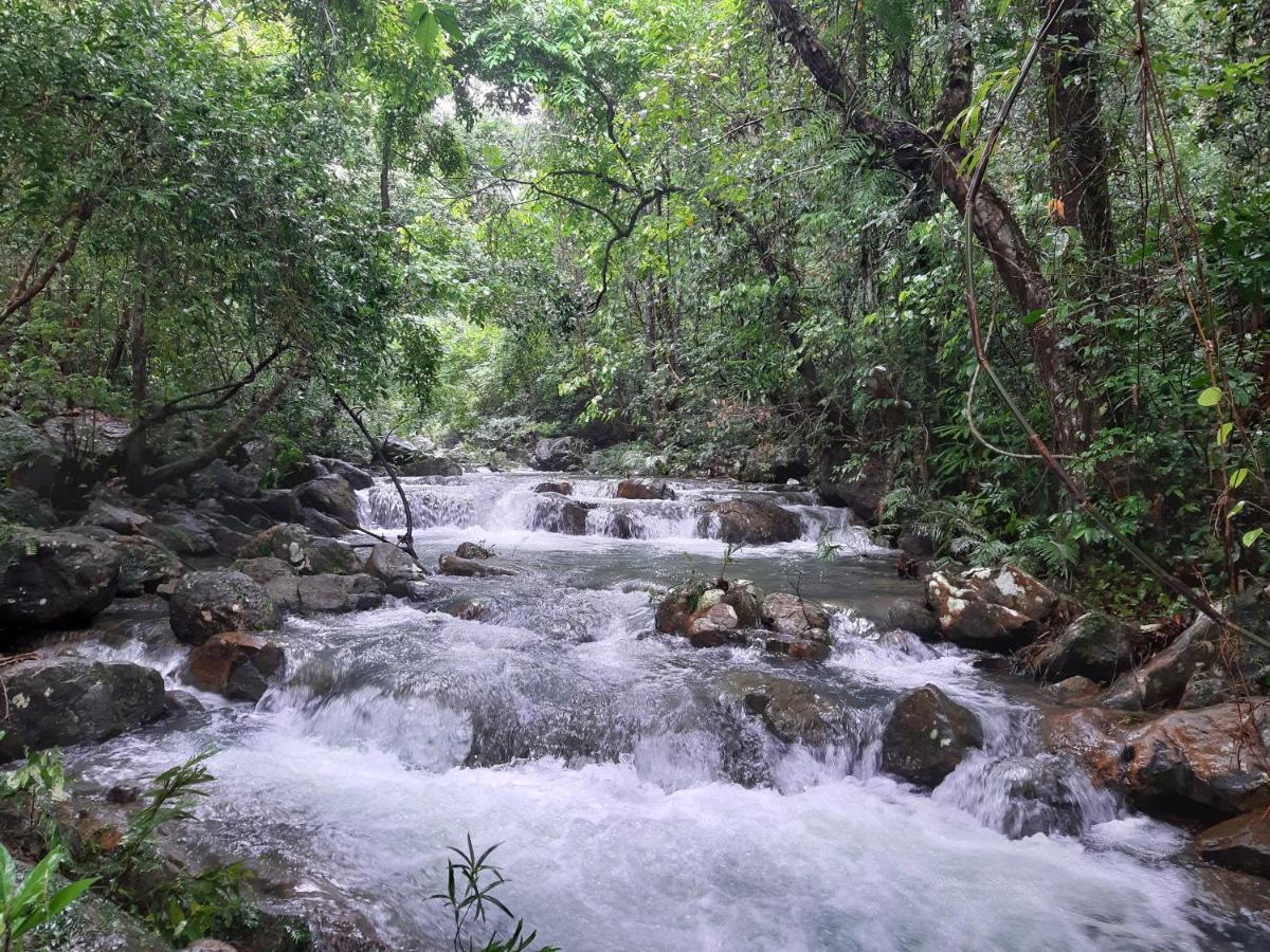 Areca Bungalow Phong Nha Eksteriør bilde